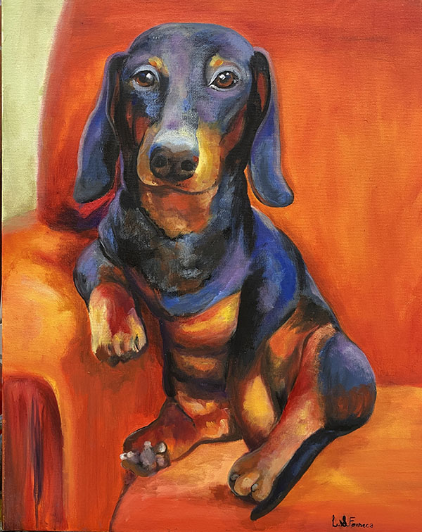 Pet - 50 x 40 - AST